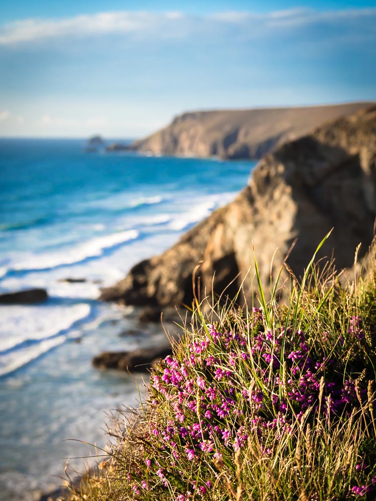 Landscape photograph — Coastline view from Chapel Porth Cornwall