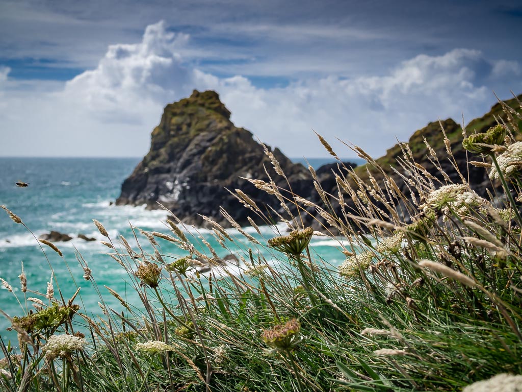 Landscape photograph — Coastline view from Kynance cove Cornwall