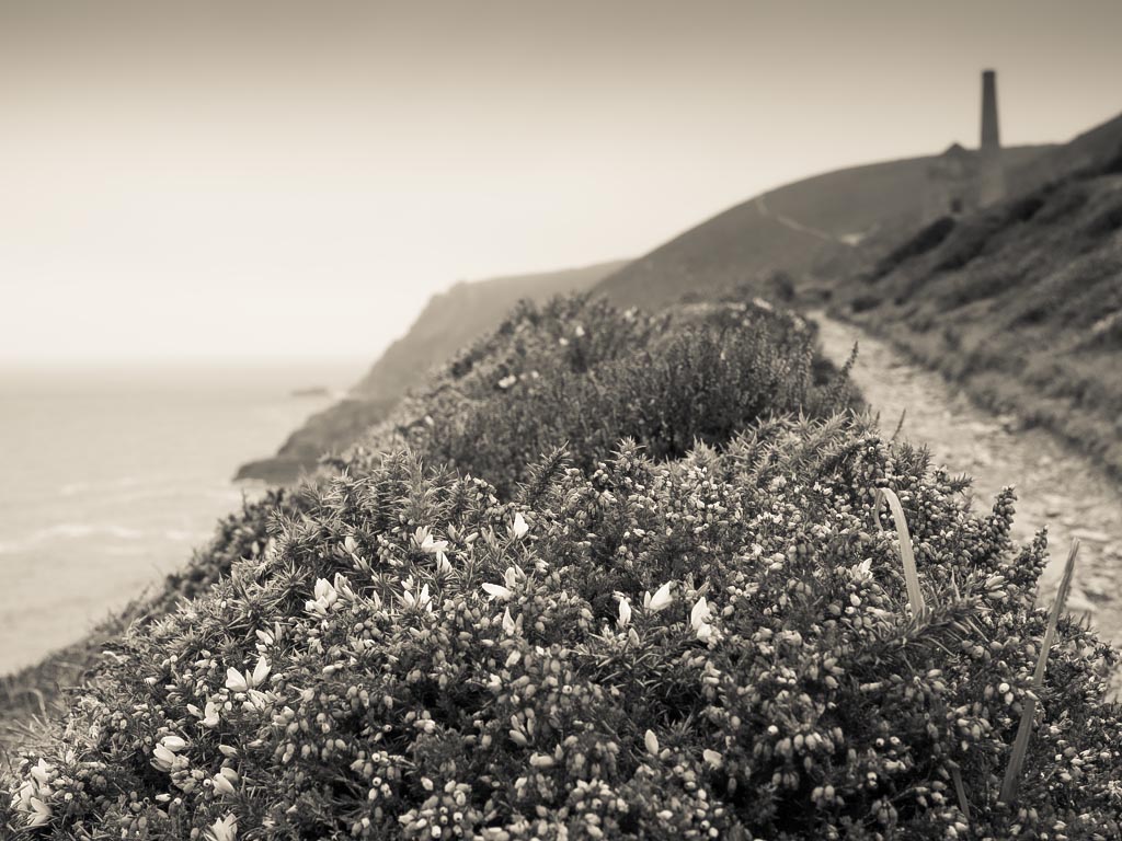 Landscape photograph — Coastline view of Towanroath pumping engine house Chapel Porth Cornwall