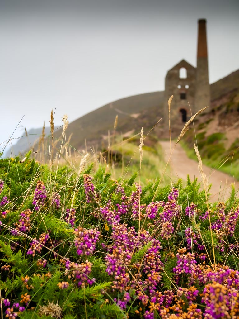 Landscape photograph — Coastline view of Towanroath pumping engine house Chapel Porth Cornwall