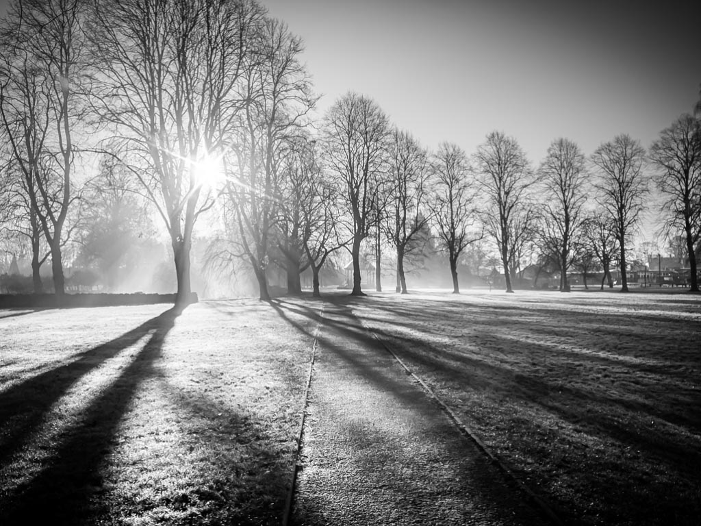 Landscape photograph — Black and white winter sunlight through the trees Riversley Park Warwickshire