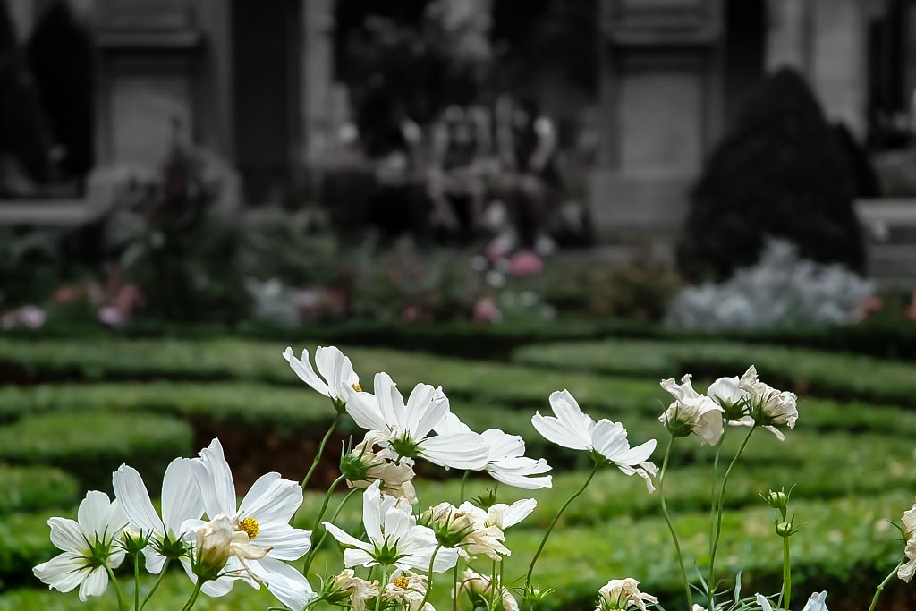 Travel photograph — Courtyard garden in Paris