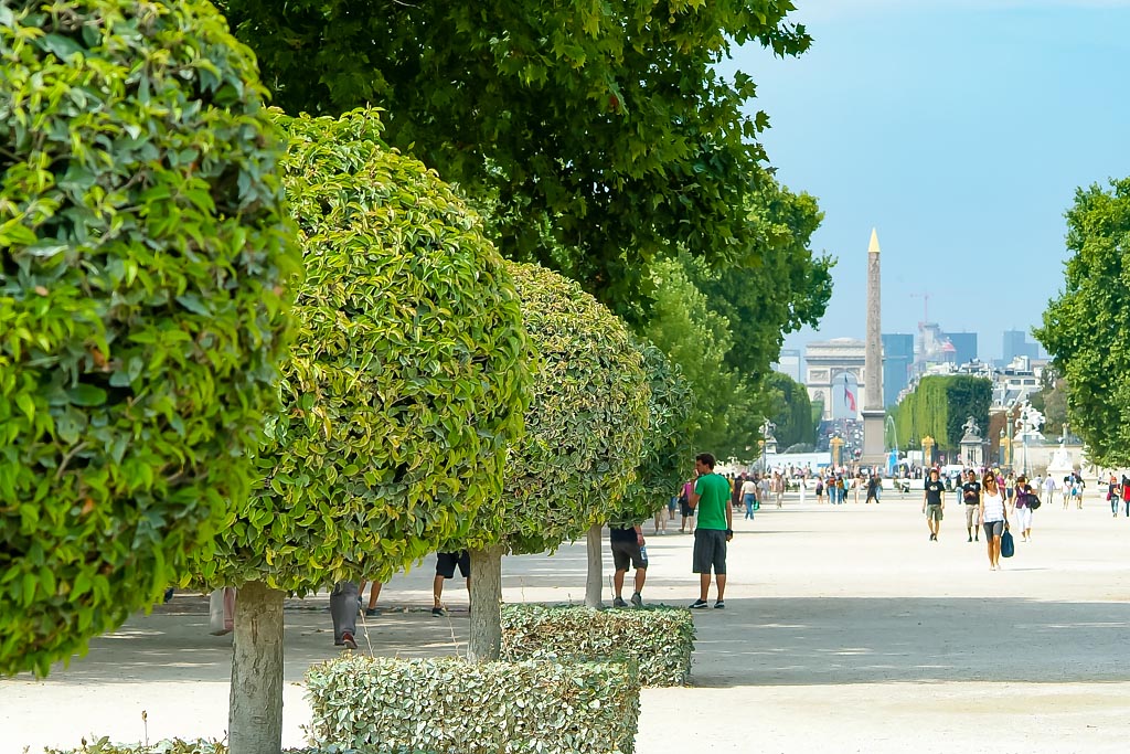 Travel photograph — View in distance of Arc De Triomphe Paris